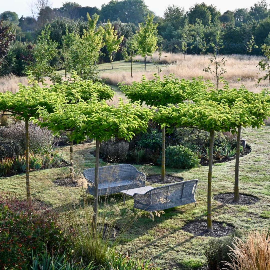 مبيت وإفطار Chidham Orchard Dene المظهر الخارجي الصورة